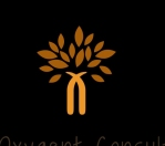 The Oxygent Consultancy Company Logo