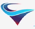 Vyon International logo