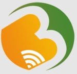 Bharat Voip Communications Private Limited logo