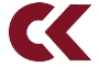 CX Digital Pvt Ltd logo