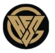 AFSG HR Consultant Company Logo