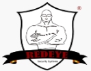 Redeeye Secuirty Systems logo