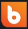 Brainvault Technologies Pvt Ltd logo