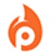 Pindila Solutions Pvt Ltd logo