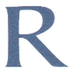 Rajsriya Automotive Industrial Pvt Ltd logo