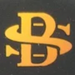 Bajaj and Sons logo