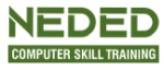 Neded Computer Skills Training logo