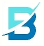 BENS Global Solutions Company Logo