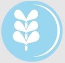 Namrata Kedia Design Pvt Ltd logo