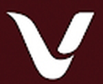 Vednova It Solution logo