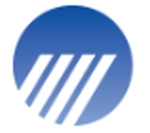 Pace Infotech India Private Limited logo
