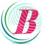 Bhipra Software Solution Pvt Ltd Company Logo
