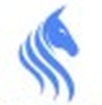 Blueberry Unicorn Services logo