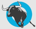 Bullish India Hunting Real Stock logo