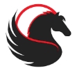 Pegasus Corporation logo
