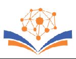 Shine Project logo