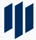 Trident Automobiles Pvt Ltd Company Logo