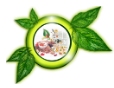 Shrinath Pharmacy logo