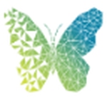 Transitials logo