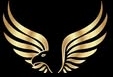 Silver Sky Group logo