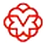 Vidya Lokam Company Logo