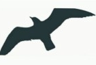 Namura Hr Consulting logo