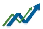 Nirmal & Co. logo