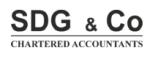 SDG and Co logo