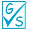 GVS International logo