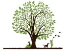 Zameer Foundation logo