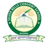 Silver Ball School logo