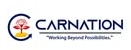 Carnition Wealth and Financial Solution logo