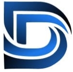 Dnyanved Financial Services logo