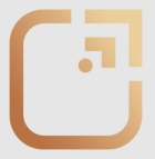 Strive Overseas Company Logo