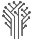 Apex Infotech logo