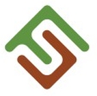Finsense Securities logo