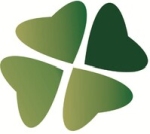 Skyway Technology logo
