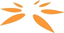 Spandana Sphoorty Financial Limited logo