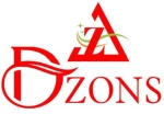 DzonS Company Logo