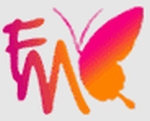 Flymedia Technology Company Logo