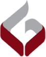 KG Bright logo