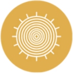 Aarunya Wellness Company Logo