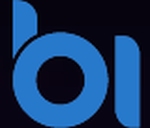 Binary Informatics logo