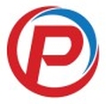 Pioneer Groups logo