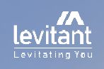 Levitant Global Design logo