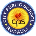 City Public School logo
