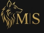 MS Developers logo
