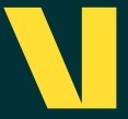Valona Intelligence logo