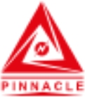 Pinnacle Generators logo