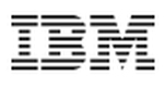 IBM Company Logo